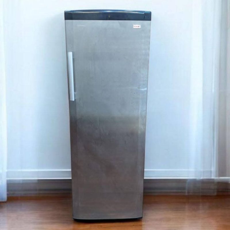 🔥 GNE 🔥 Vertical Deep Freezer